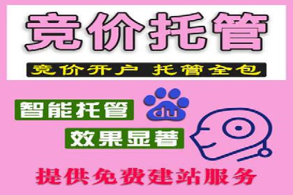 SEM竞价优化技巧分享：成功案例揭秘